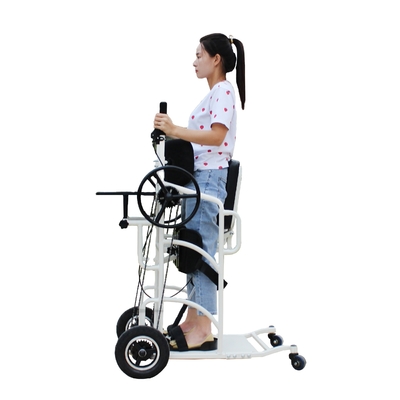 El caminar de cuero de la movilidad de Seat ayuda a las vespas flexibles de los caminante de las muletas de la palanca hidráulica