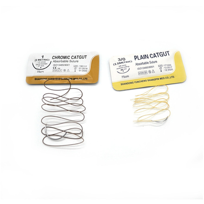 Suministros médicos consumibles absorbibles