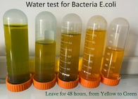 100 bacterias del PLA de las tiras prueban el equipo, tiras de prueba del ANIMAL DOMÉSTICO E Coli
